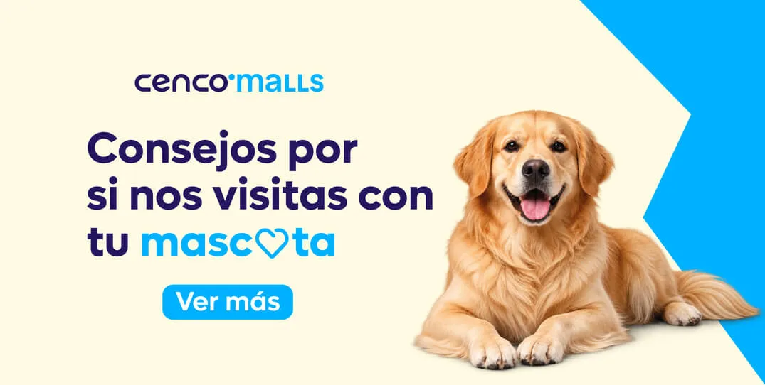 Consejos visitas con mascota