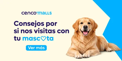 Consejos visitas con mascota